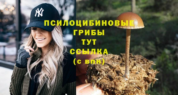 спайс Белоозёрский
