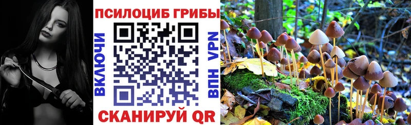 купить   Горячий Ключ  Псилоцибиновые грибы прущие грибы 