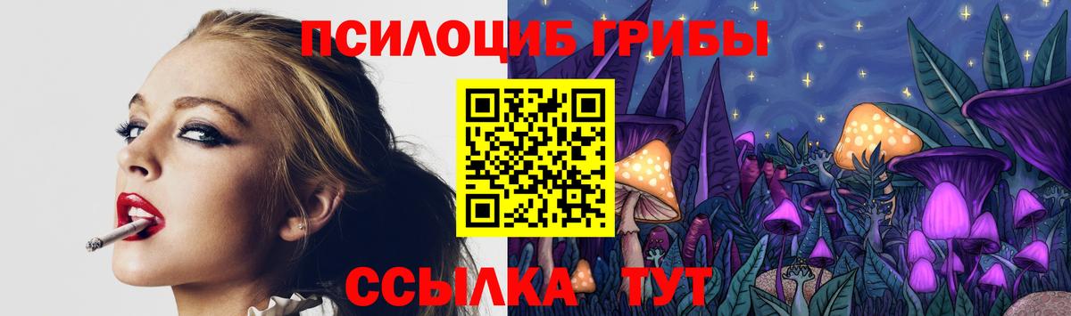 Галлюциногенные грибы Magic Shrooms  Вход с VPN  как найти закладки  Галлюциногенные грибы Cubensis  Горячий Ключ 